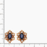 Earrings With gemstones 17084222
